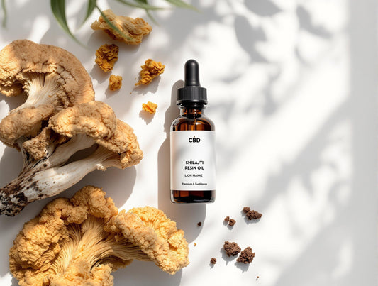 The Ultimate Daily Focus & Energy Protocol: Lion's Mane, Shilajit & CBD Transform your mental performance with this science-backed 3-phase supplement routine