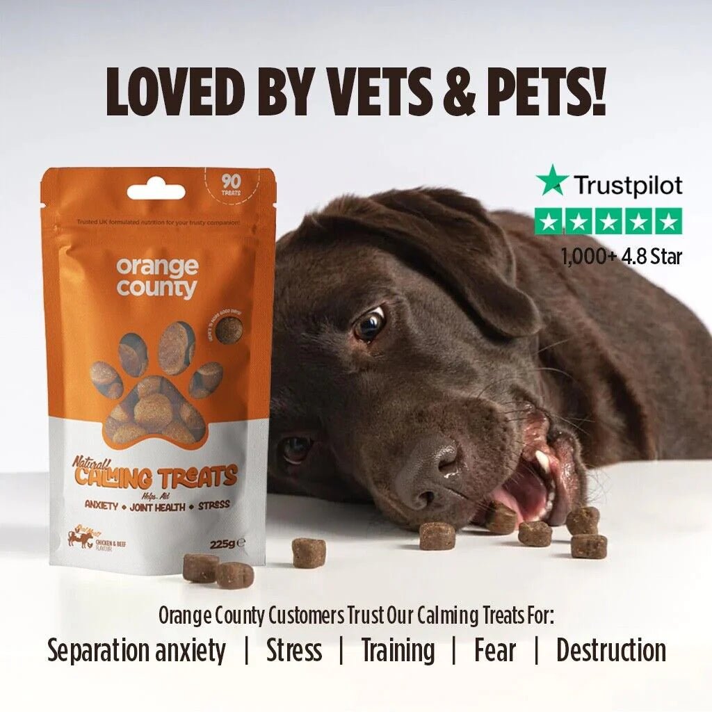 Orange County Natural Calming Dog Treats - 90 pack CBD pet treats for anxiety relief
CBD dog treats for calming anxiety - broad spectrum THC-free pet wellness treats
Happy relaxed dog after taking Orange County natural calming CBD treats